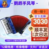 鹦鹉牌手风琴60 96 120BS三四排簧初学成人考级演奏支持厂家直发 96贝司蓝色YW871/37键