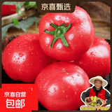 西红柿水果沙瓤番茄多汁新鲜蔬菜生鲜减肥减脂可生吃 山东西红柿4斤带箱 3.8斤 净重