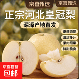 正宗河北皇冠梨产地直发深泽皇冠梨10 带箱9斤净重8.2斤
