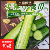 京喜加寿光新鲜无刺水果小黄瓜小青瓜脆甜荷兰脆嫩生吃黄瓜蔬菜 水果黄瓜 5斤