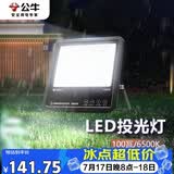 公牛（BULL）LED投光灯庭院灯工地灯园林照明露营灯 IP65防水100W-6500K白光