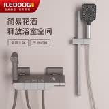 iLeddog【精工】全铜简易淋浴花洒套装卫生间浴室无顶喷浴缸洗澡喷头019
