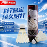 红双喜DHS 羽毛球入门练习训练实惠6只装/筒