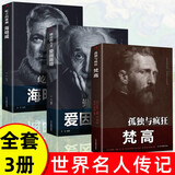 【全3册】梵高+爱因斯坦+海明威 历史人物名人传记书籍时代的灵魂外国历史人物榜样的力量