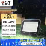 公牛（BULL）LED投光灯户外庭院工厂园林灯露营灯 IP65防水等级100W-6500K白光