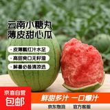 正宗全美小糖丸2k西瓜薄皮小糖丸西瓜新鲜水果 净重1.5-2斤