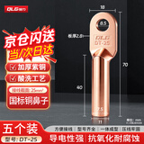 强力（QLG）铜鼻子DT-25平方 铜接线端子线鼻子酸洗堵油铜鼻子国标电缆接头【5只/包】