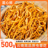 菌心鲜 蛹虫草花500g 云南特产山珍菌菇干货菌子类煲鸡汤料包火锅食材