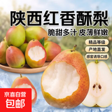京喜加陕西红香酥梨脆甜多汁新鲜水果 红香酥梨带箱1斤