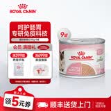 皇家（ROYAL CANIN）猫粮慕斯猫罐头湿粮奶糕幼猫粮全价粮 猫咪主食级罐头BMC 【1755g 猫奶糕罐头】195g*9罐