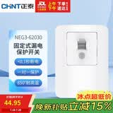 正泰（CHNT）固定式漏电保护开关 40A 230V~NEG3-62030