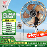 华生（Wahson）电风扇/落地扇/金属铝叶风扇/低噪大风量宿舍办公扇商务家用省电立式电扇FS-D1403