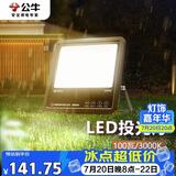 公牛（BULL）LED投光灯户外路灯庭院灯露营灯 IP65防水高亮度100W-3000K暖白光