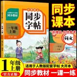 小学语文同步字帖一年级上册 适用人教版教材配套使用 小学生练字帖一课一练 规范学生字体每日一练 专项训练书写字帖控笔训练 开学季