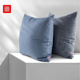 富居抱枕靠垫可拆洗沙发床头靠垫车载办公室靠枕软垫子45*45cm孔雀蓝