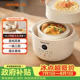 九阳（Joyoung）电炖锅炖盅 快炖隔水炖锅多功能锅婴儿宝宝辅食锅bb煲汤锅 燕窝炖盅 炖汤锅蒸锅 一锅三胆 GD187