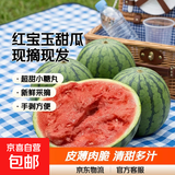 正宗2k超甜手剥小糖丸小西瓜新鲜采摘应季新鲜采摘西瓜水果 净重2-3斤（1-2个瓜）
