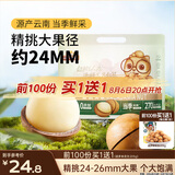 三只松鼠夏威夷果500g约24-26mm儿童每日坚果炒货休闲零食团购送礼