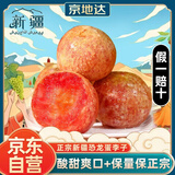 京地达新疆恐龙蛋李子净重4斤中果50g+原框装京东自营水果源头直发包邮