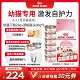 皇家猫粮 幼猫粮干湿套装K36 2KG+幼猫湿粮罐头BMC 88g*6