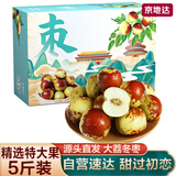 京地达陕西大荔冬枣 净重5斤特大果礼盒 单果20g+ 脆甜鲜枣 源头直发