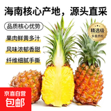 海南金钻凤梨 新鲜水果手撕凤梨孕妇水果 果园直发整箱包邮非菠萝 【尝鲜】1粒装凤梨 单果500g起