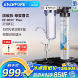 爱惠浦（Everpure） 家用矿物质厨下净水器 大流量0废水直饮 1.8L/分钟3500L处理量 EF-900P Plus