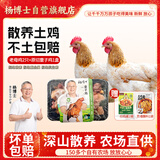 杨博士皖南散养老母鸡 单只1.6斤及以上*2只 土鸡整鸡保留鸡胗源头直发