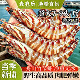 森农乐舟山竹节虾鲜活斑节虾特大九节虾冷冻野生大虾基围虾黑虎虾海虾类 500g(净重)  13-16cm【14-18头/斤】