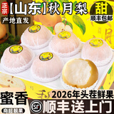 粤迎正宗山东秋月梨【顺丰送货上门】冰糖脆甜梨子新鲜中秋节送礼物盒 5斤分享装【多人分享装-较较划算】净4.5斤 A+级精选果【单果302-351g】甜