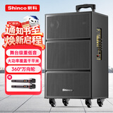 新科V50广场舞音响户外大音量拉杆音箱五喇叭木质箱体大功率家用K歌移动摆摊低音炮 10吋双咪