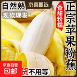 苹果蕉新鲜广西香蕉自然熟芭蕉香甜粉糯万澄现摘生鲜现发水果 带箱8.5斤净重8斤