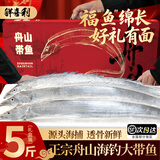 鲜喜利舟山海鲜带鱼礼盒装小眼海钓带鱼鲜活冷冻整条新鲜油带鱼商务送礼 【5斤礼盒装】共5-6条特大带