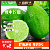 广东香水青柠檬 带箱3斤--净重2.5斤-单果净重【65克+】