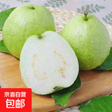 白心芭乐新鲜软糯番石榴低卡轻食可榨汁启鸿 白心芭乐 带箱2斤 单果100g+