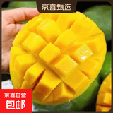 攀枝花凯特芒果台农芒应季热带时令芒果水果整箱送礼 净重3.5-4斤单果500g