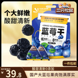 三只松鼠每日蓝莓干500g 蜜饯果干酸甜休闲零食下午茶孕妇儿童健康零食