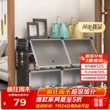 安尔雅超薄鞋柜门口简易鞋架玄关多层防尘收纳架树脂组装柜 双列4层