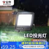 公牛（BULL）LED投光灯路灯庭院灯工地灯露营灯 IP65防水高亮度30W-6500K白光