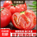 【减脂首负】正宗甘肃武威普罗旺斯西红柿即食生吃番茄蔬菜沙拉 彩箱 2斤 含箱 普罗旺斯【儿时味道】