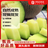 趣尝鲜宁夏牛三网纹蜜瓜 2枚 净重4.5斤 新鲜水果  源头直发包邮
