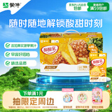 蒙牛酸酸乳凤梨味乳味饮料250ml*24盒  解腻佐餐 送礼盒装 乳味饮品