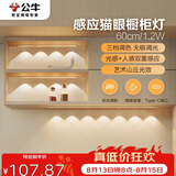 公牛（BULL）感应猫眼橱柜灯磁吸充电山丘光效展柜玄关氛围小夜灯 银60cm三色