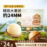 三只松鼠夏威夷果500g约24-26mm儿童每日坚果炒货休闲零食团购送礼