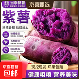 紫罗兰红薯沙地现挖紫薯宝宝辅食紫芋头山芋苕粗粮新鲜包邮 紫罗兰紫薯9斤中小果 含箱