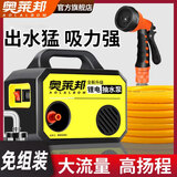 aolalbom奥莱邦充电式抽水泵小型农用灌溉电动抽水机锂电池浇菜神器浇水机 G18双电池+10米出水管