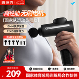 麦瑞克（MERACH）暗影X筋膜枪肌肉按摩器专业级筋膜枪器无刷电机运动肌模抢颈膜枪七夕情人节送礼推荐