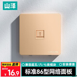 山泽网线网口网络面板 通用超五/六/七类模块加厚86型面板 适用电脑房间网络插座 一位金色SZ-MB01J