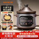 九阳（Joyoung）电炖锅电炖盅4L大容量紫砂预约电砂锅 多功能锅 智能定时精炖煮粥煲汤锅DG40K-GD408