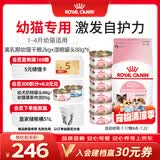 皇家猫粮 离乳期幼猫粮干湿套装BK34 2KG+幼猫湿粮罐头BMC 88g*6
